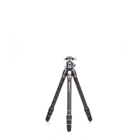Benro Stativ Tortoise 24C + GX30 Kit Carbon