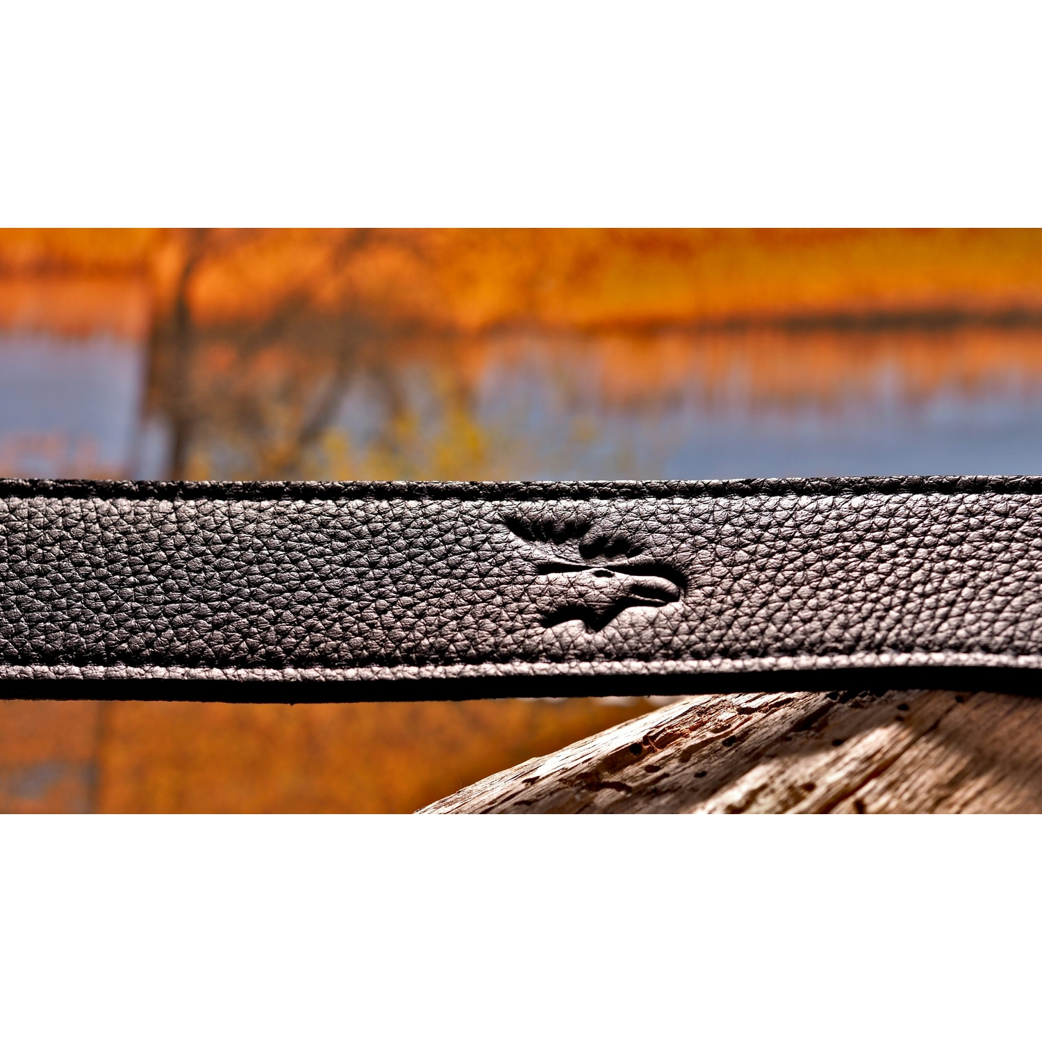 EDDYCAM Kameragurt EASY-II 45mm schwarz