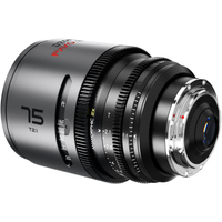 DZOFILM PAVO 2X ANAMORPHIC 6-Lens Kit 28/32/40/55/75/100mm T2.1/T2.4 Neutral Coating Metric für PL/EF-Mount
