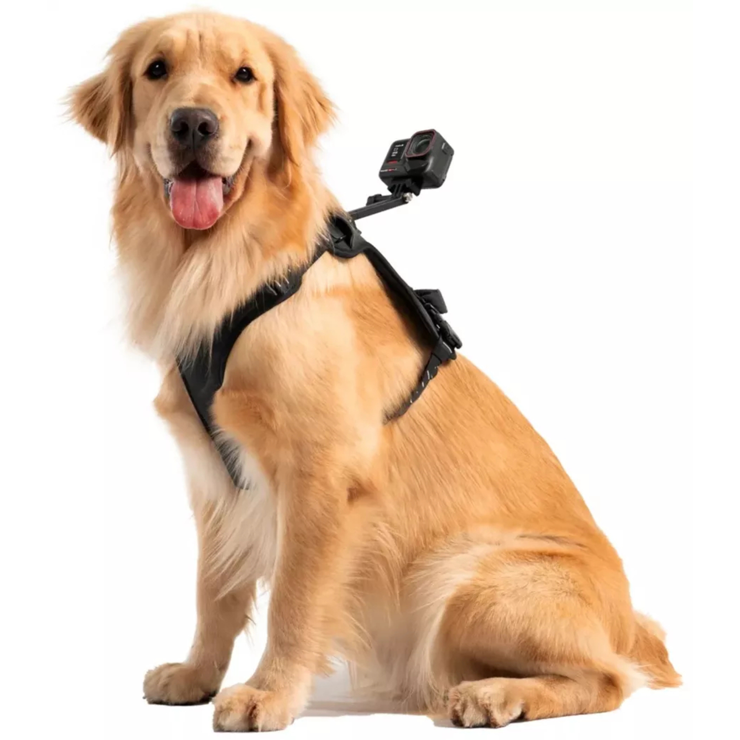 Insta360 Pet Harness Mount Size L