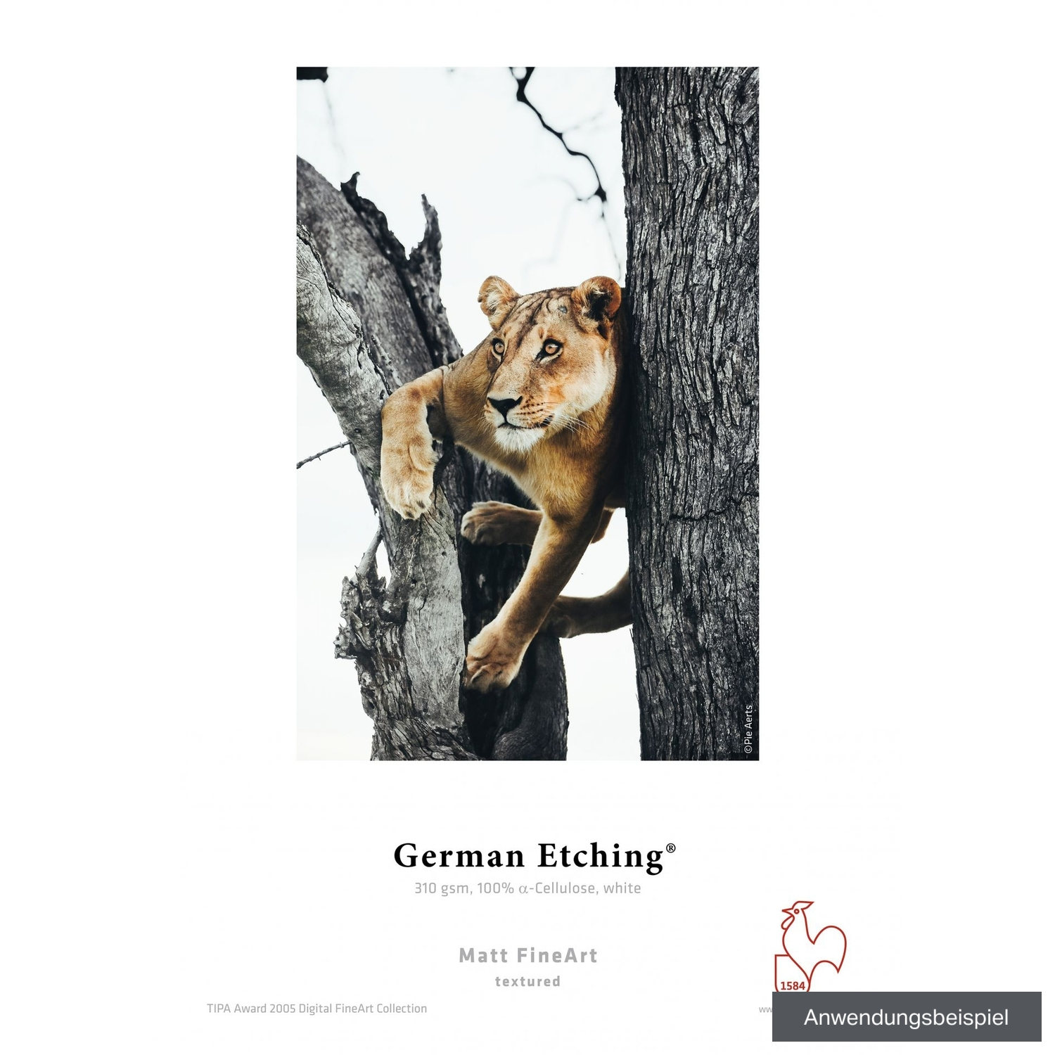 Hahnemühle German Etching 44" x 20m 310g/m² Rolle