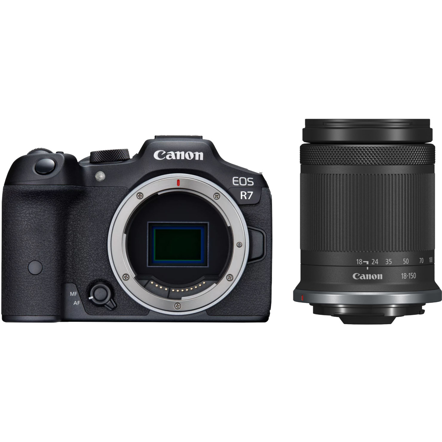 Canon EOS R7 mit RF-S 18-150mm F3.5-6.3 IS STM ohne Adapter
