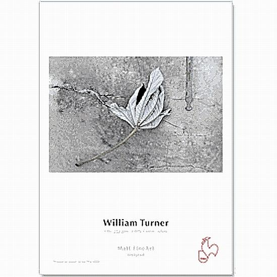 Hahnemühle William Turner A3 25Bl. 310g