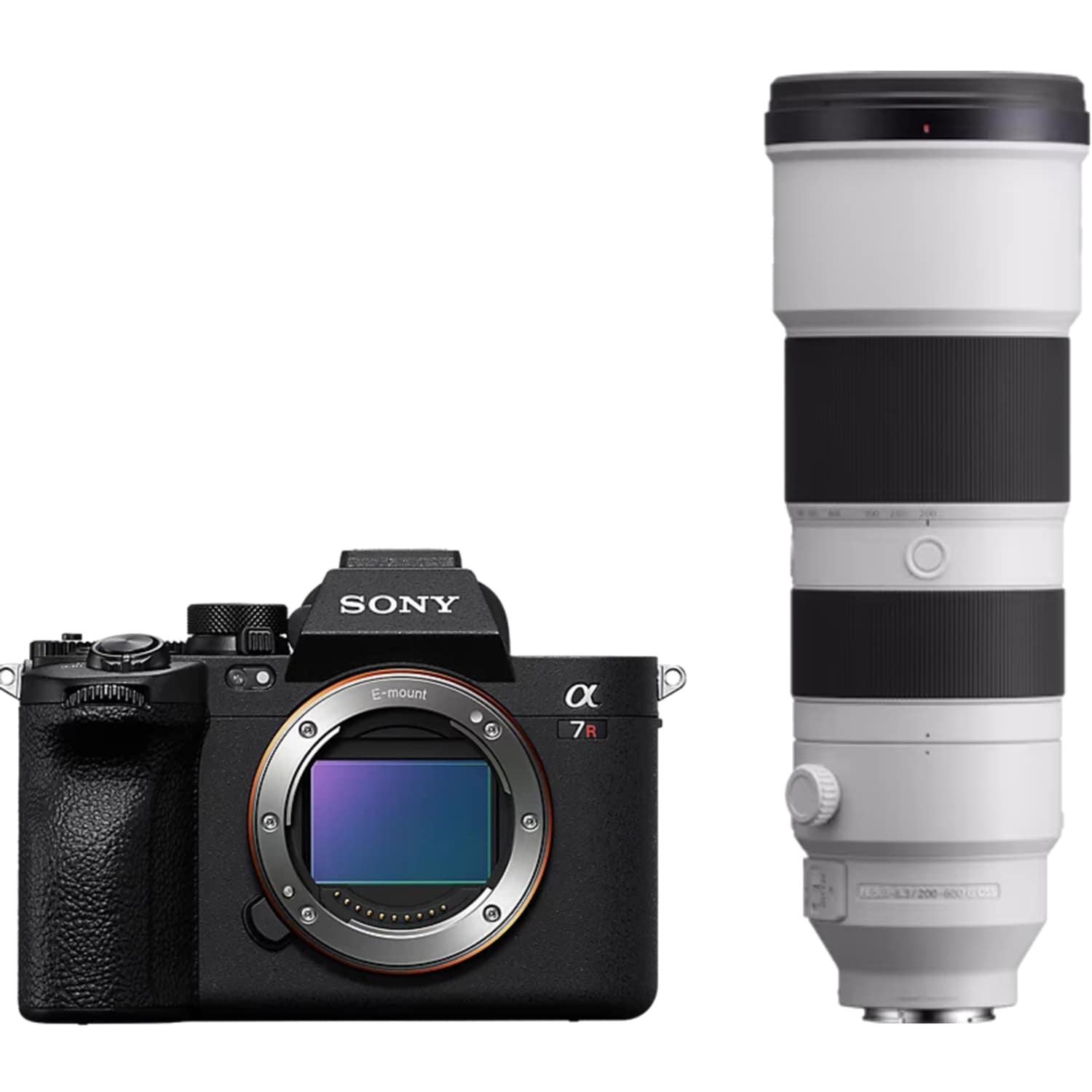 Sony Alpha 7R V mit FE 200-600mm F5.6-6.3 G OSS