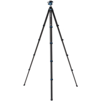 Benro Blackbird CF 1 mit G36PT Invertkugelkopf
