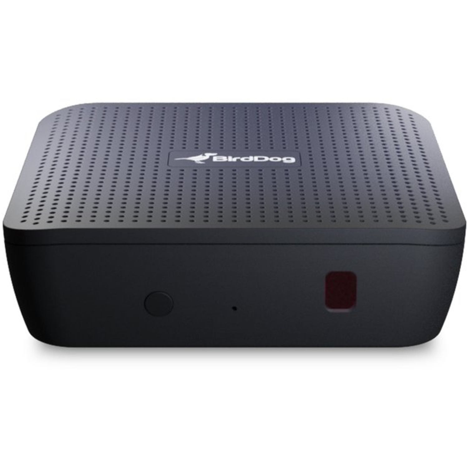 BirdDog Play HD- & 4K-NDI-Player