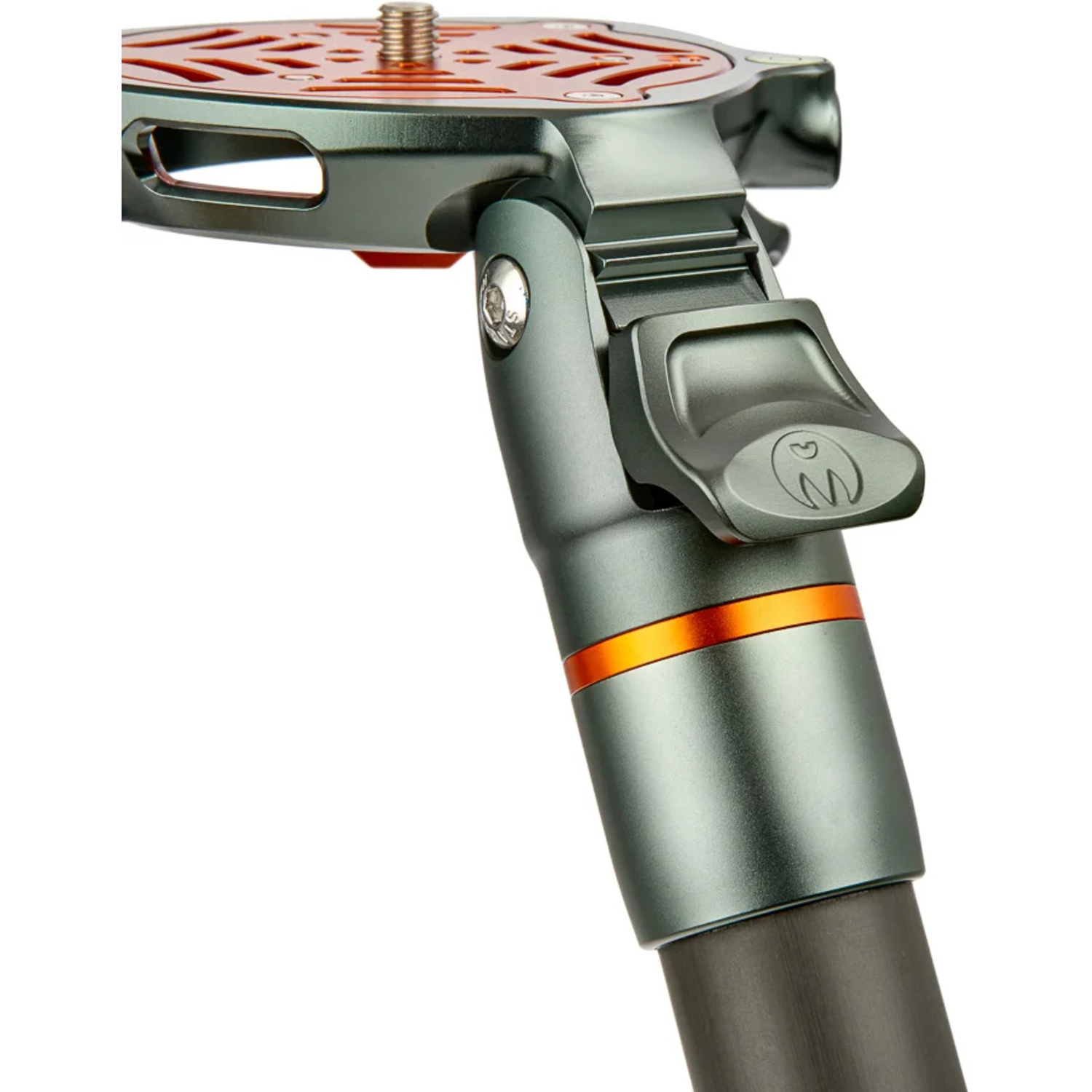 3 Legged Thing Legends Tommy Hybrid