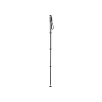 Gitzo Carbon Einbeinstativ Serie 2, 4 Segmente