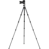 Leofoto Carbon-Dreibeinstativ LS-285CEX