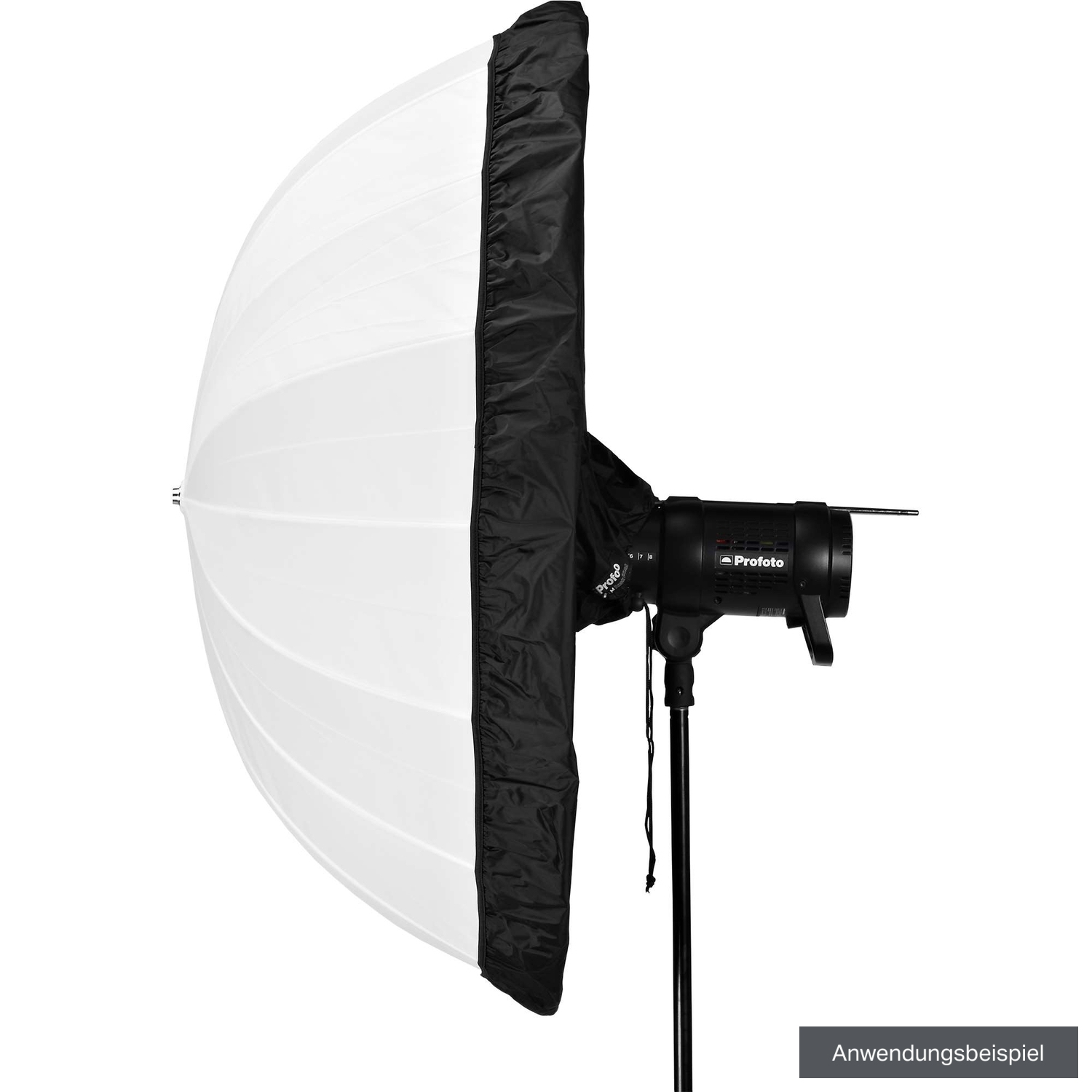 Profoto Umbrella L Backpanel für Blitzschirme