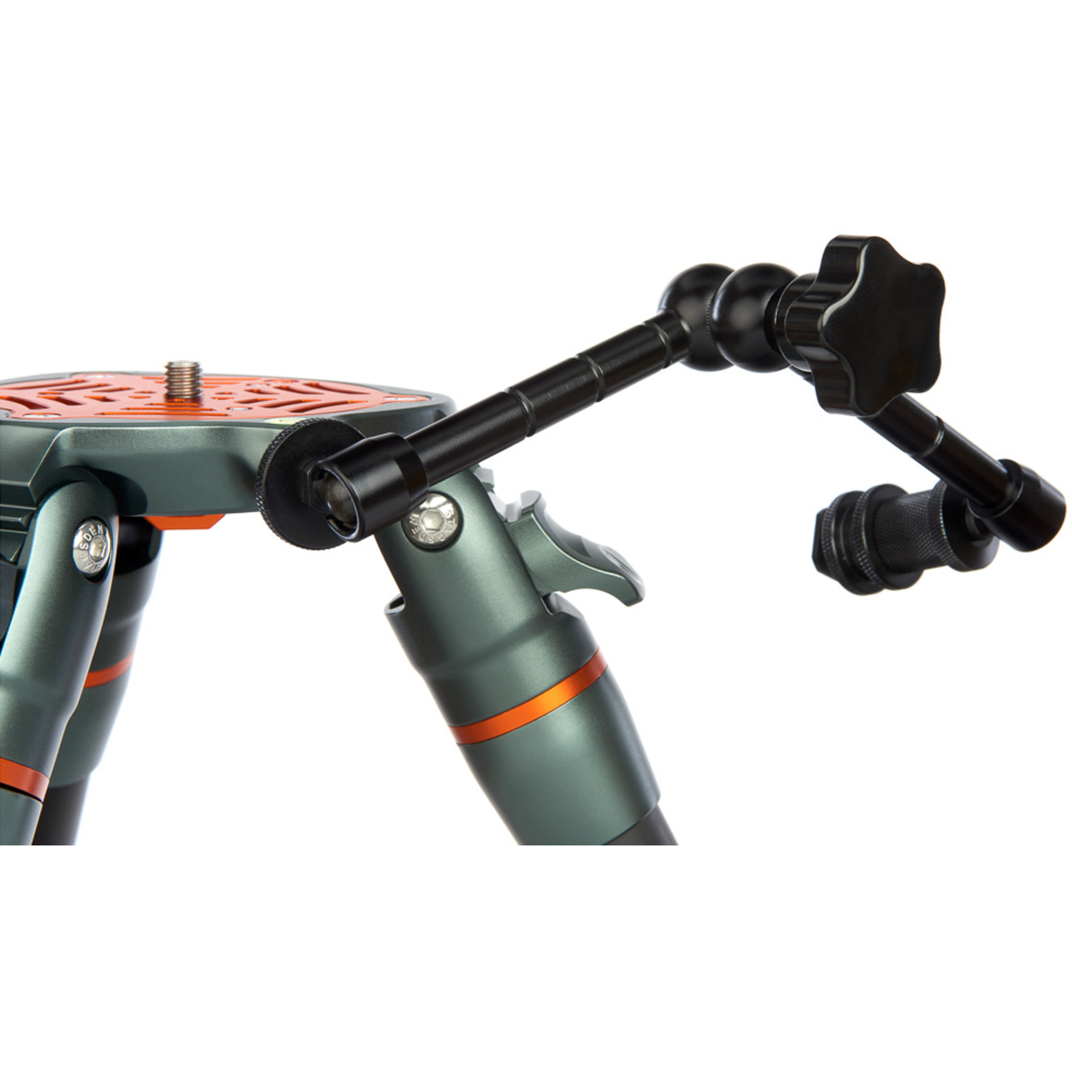 3 Legged Thing Legends Tommy Hybrid