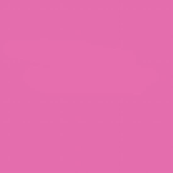 Lee Farbfilterfolie 54 x 61 cm Nr. 048 - Rose Purple