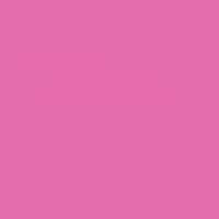 Lee Farbfilterfolie 54 x 61 cm Nr. 048 - Rose Purple