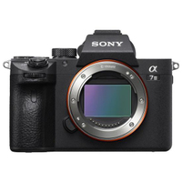 Sony Alpha 7 III mit FE 24-105mm F4 G OSS und FE 24mm F2.8 G 