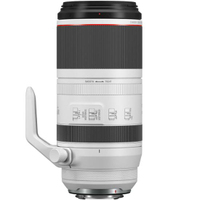 Canon EOS R5 Mark II mit RF 100-500mm F4.5-7.1L IS USM