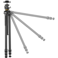 Vanguard Carbonstativ mit Kugelkopf ALTA PRO 3 263CLBPS