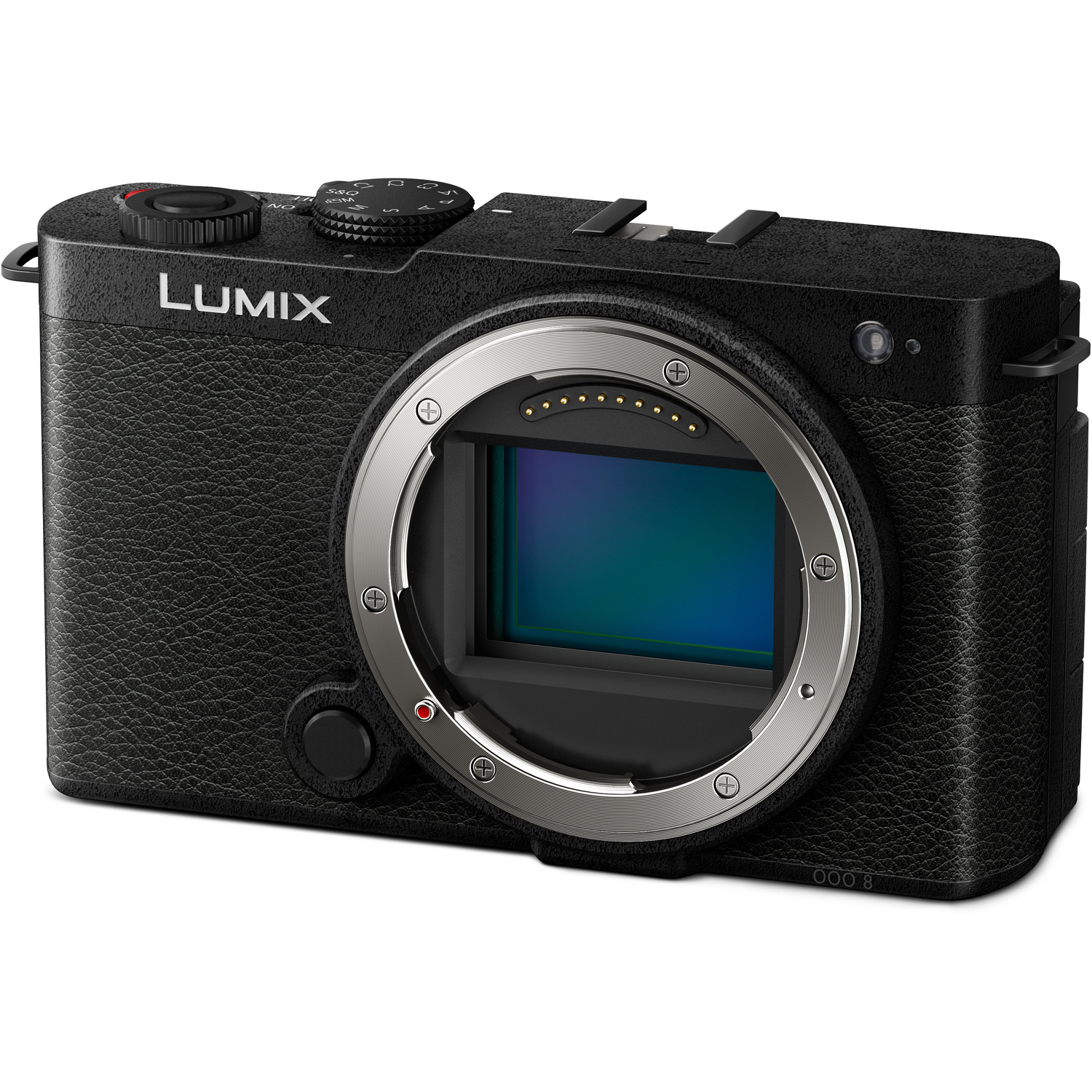 Panasonic LUMIX DC-S9 Jet Black
