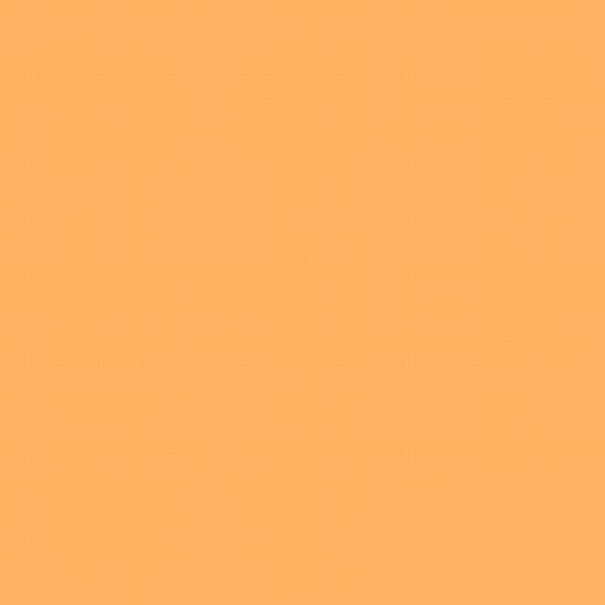 Lee Farbfilterfolie 286, 54 x 61cm 1 1/2 CT Orange