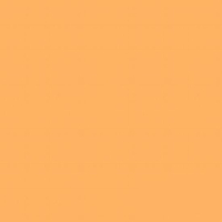 Lee Farbfilterfolie 286, 54 x 61cm 1 1/2 CT Orange