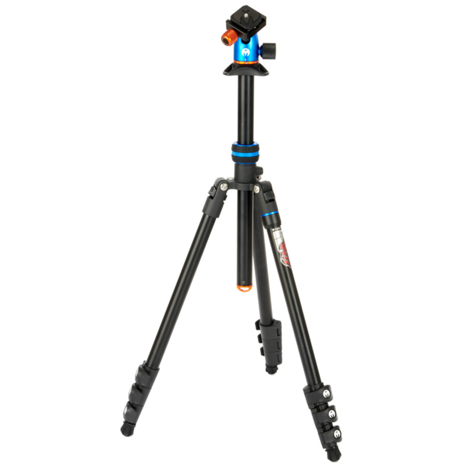 3 Legged Thing Punks Patti 2.0 & AirHed blau/schwarz