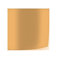 Lee Farbfilterfolie 54 x 61 cm Nr. 207 - Full CT Orange - 0,3 ND