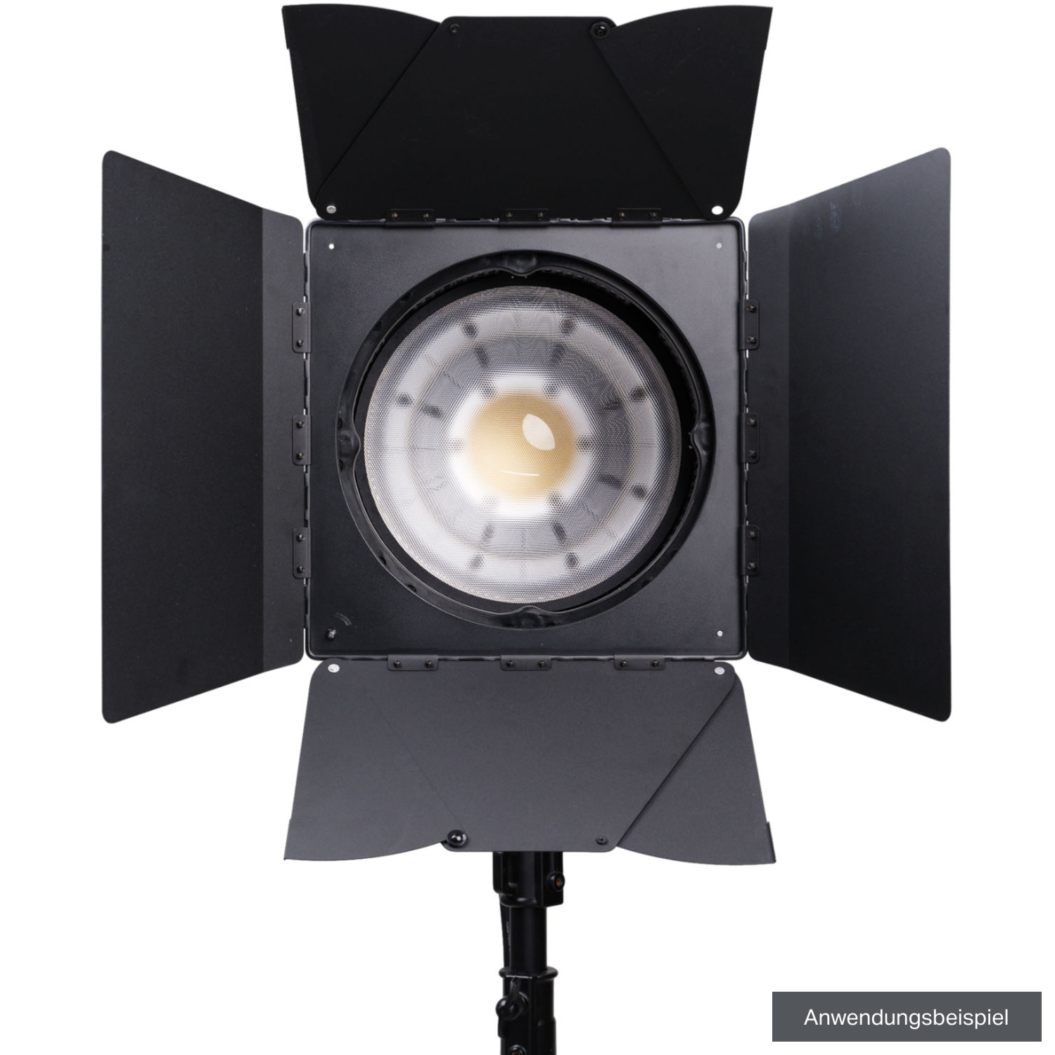 NANLUX Fokussierbarer Fresnel-Vorsatz FL-28