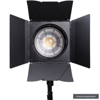 NANLUX Fokussierbarer Fresnel-Vorsatz FL-28