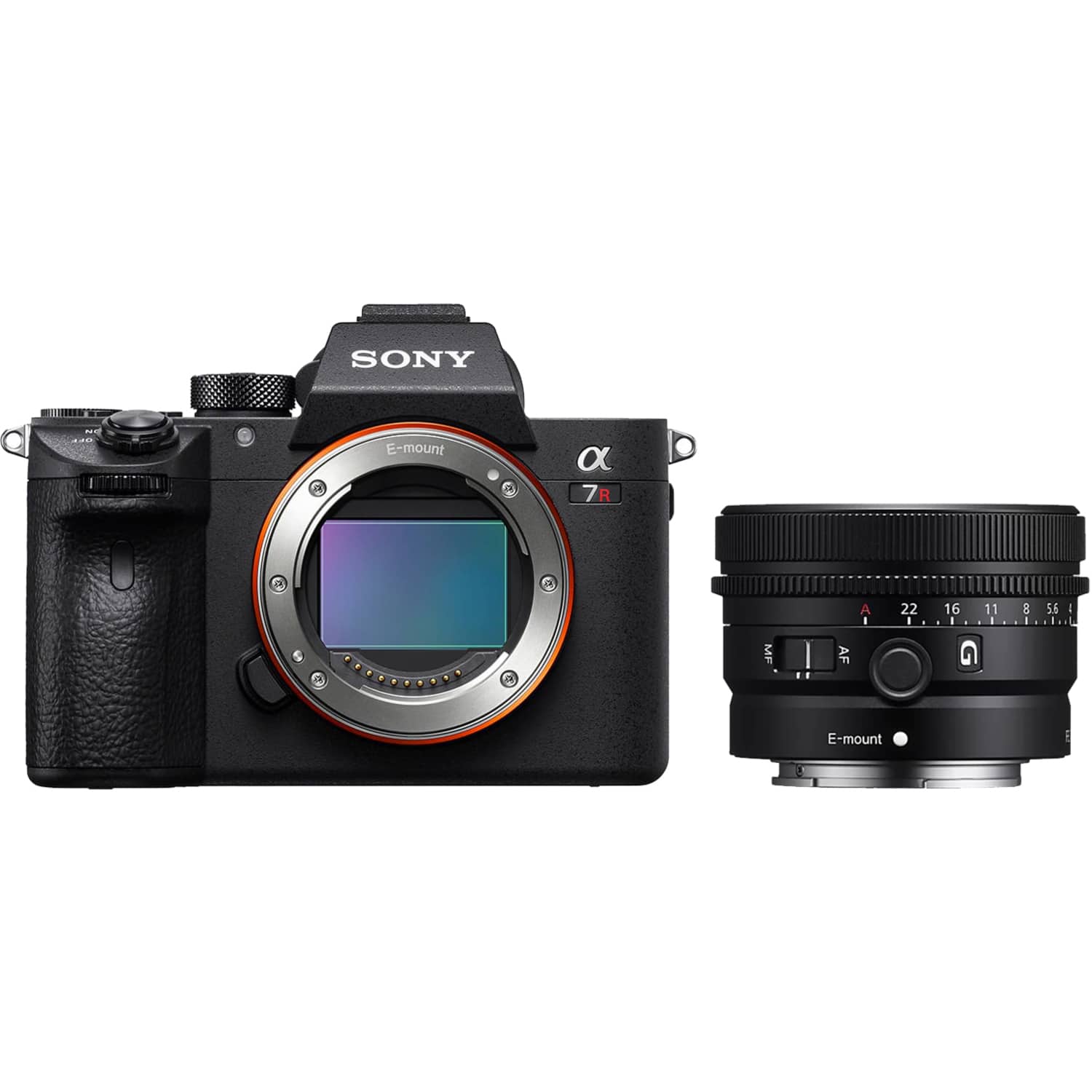 Sony Alpha 7R IV mit FE 50mm F2.5 G 