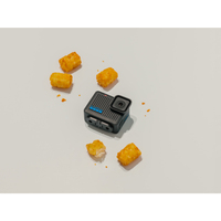 GoPro HERO
