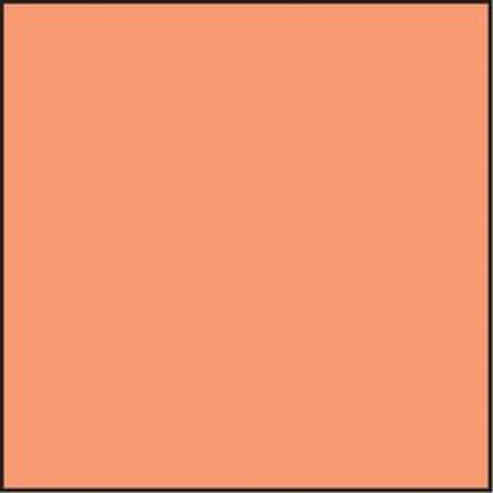 Lee Folienfilter CT-Filter 100 x 100 mm 85C