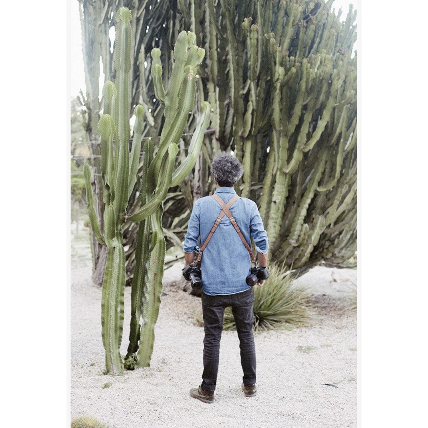 Bronkey Doppel-Kameragurt Tokyo #703 Leder Small Tanned