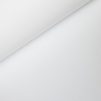 GlareOne PVC Hintergrund weiß 60 x 130cm