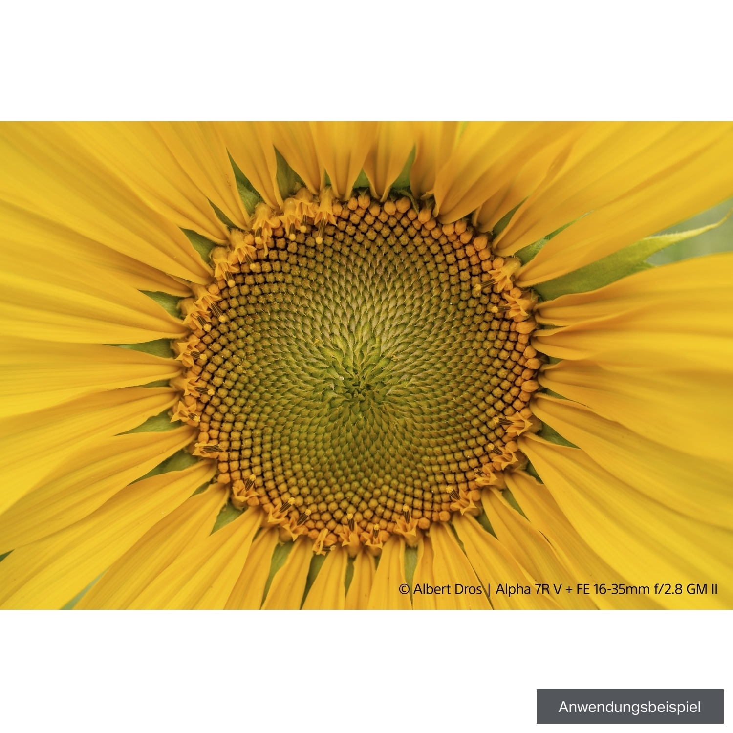 Sony FE 16-35mm F2.8 G Master II