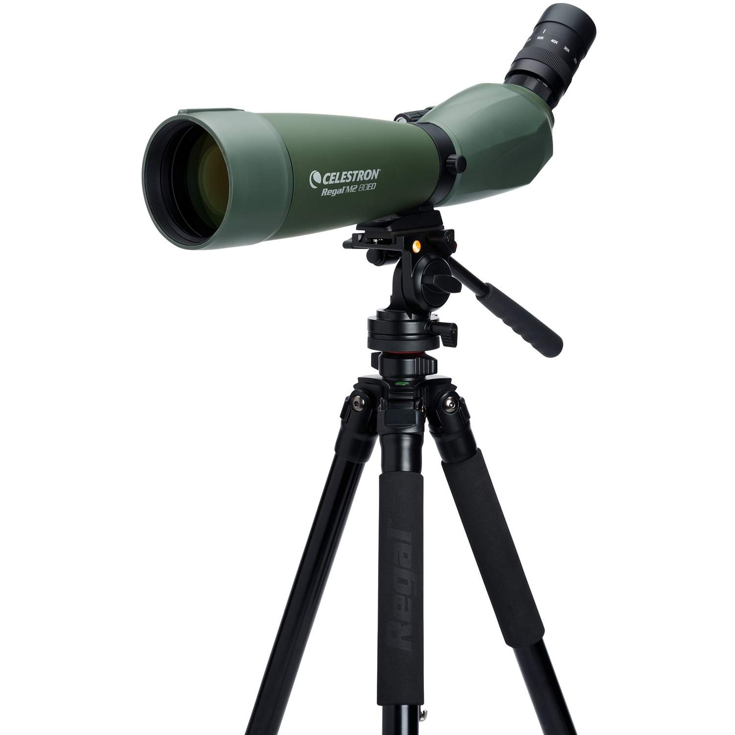 Celestron REGAL M2 20-60x80 Spektiv