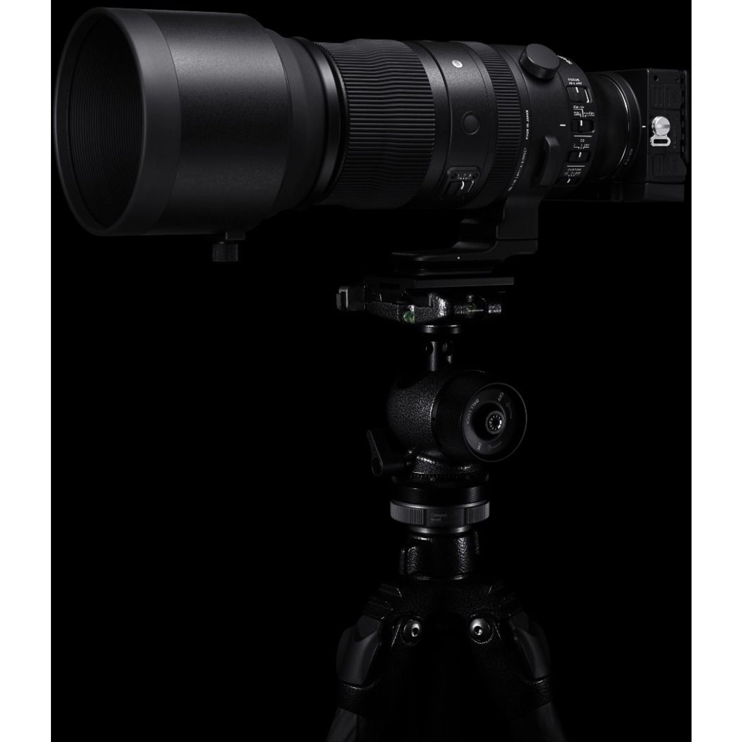 Sigma 150-600mm F5-6.3 DG DN OS Sports für Sony E-Mount 