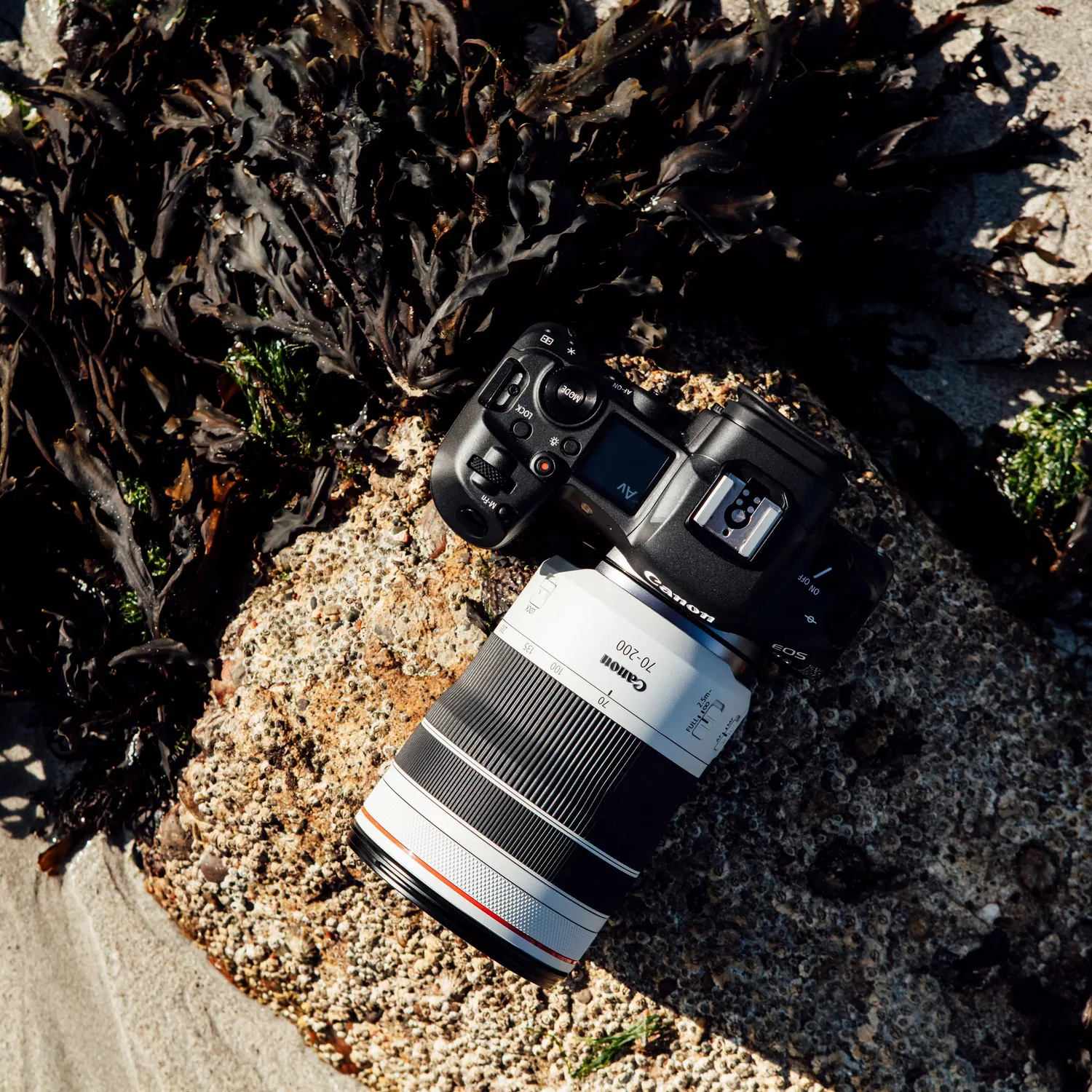 Canon RF 70-200mm F4L IS USM