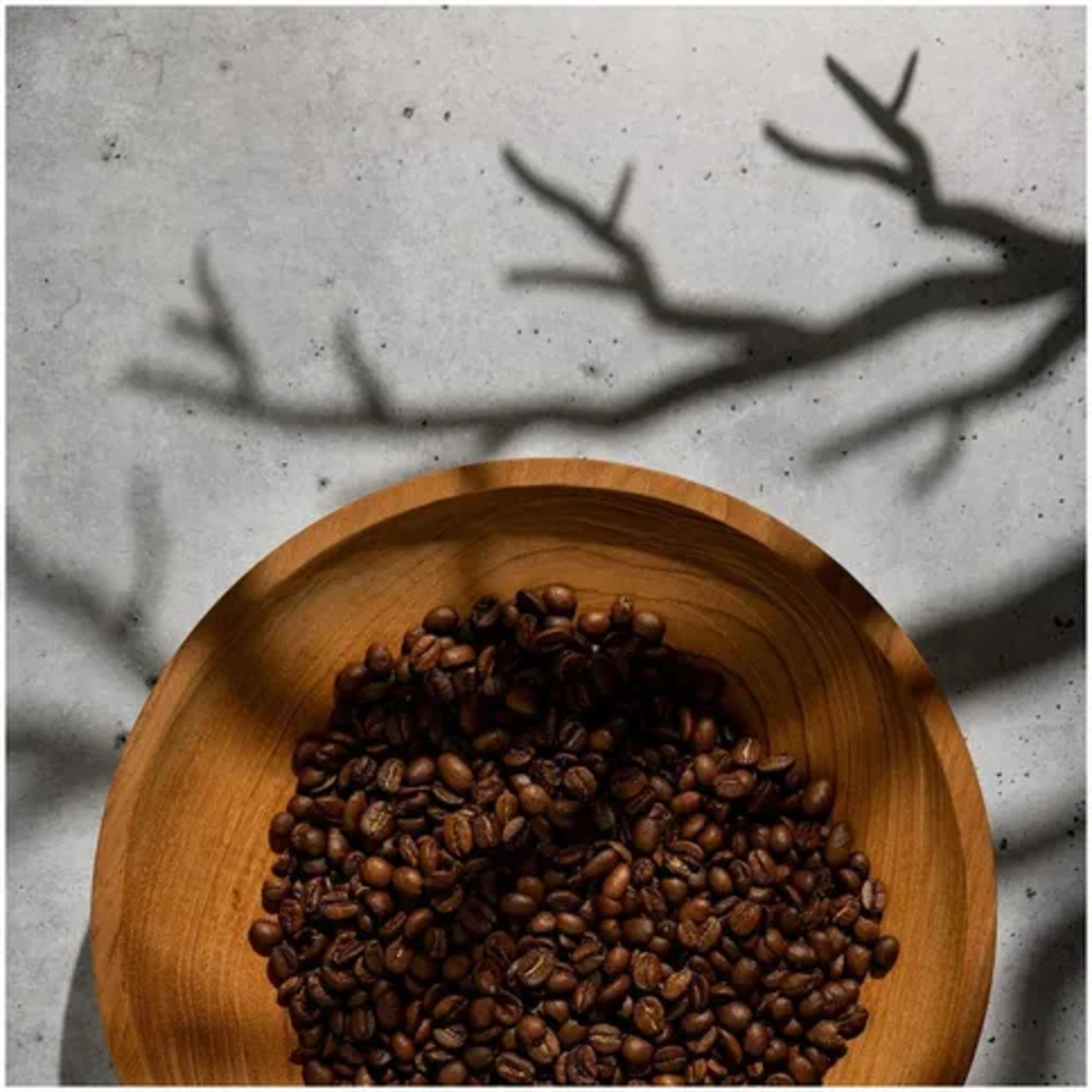 V-Flat World Shadow Board Äste