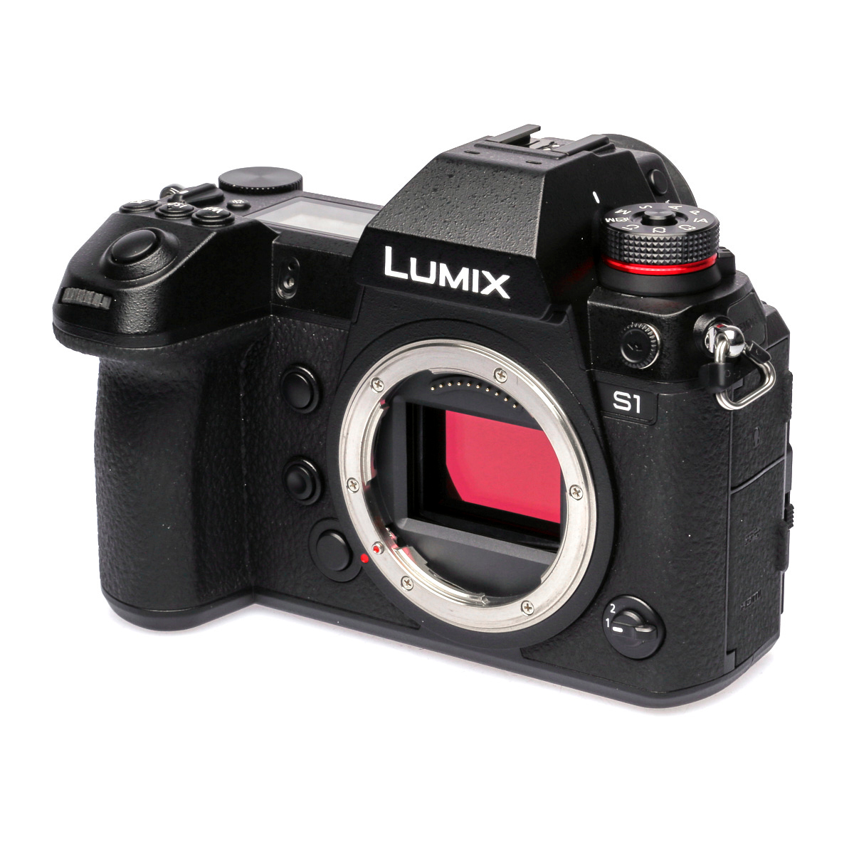Panasonic LUMIX DC-S1 gebraucht