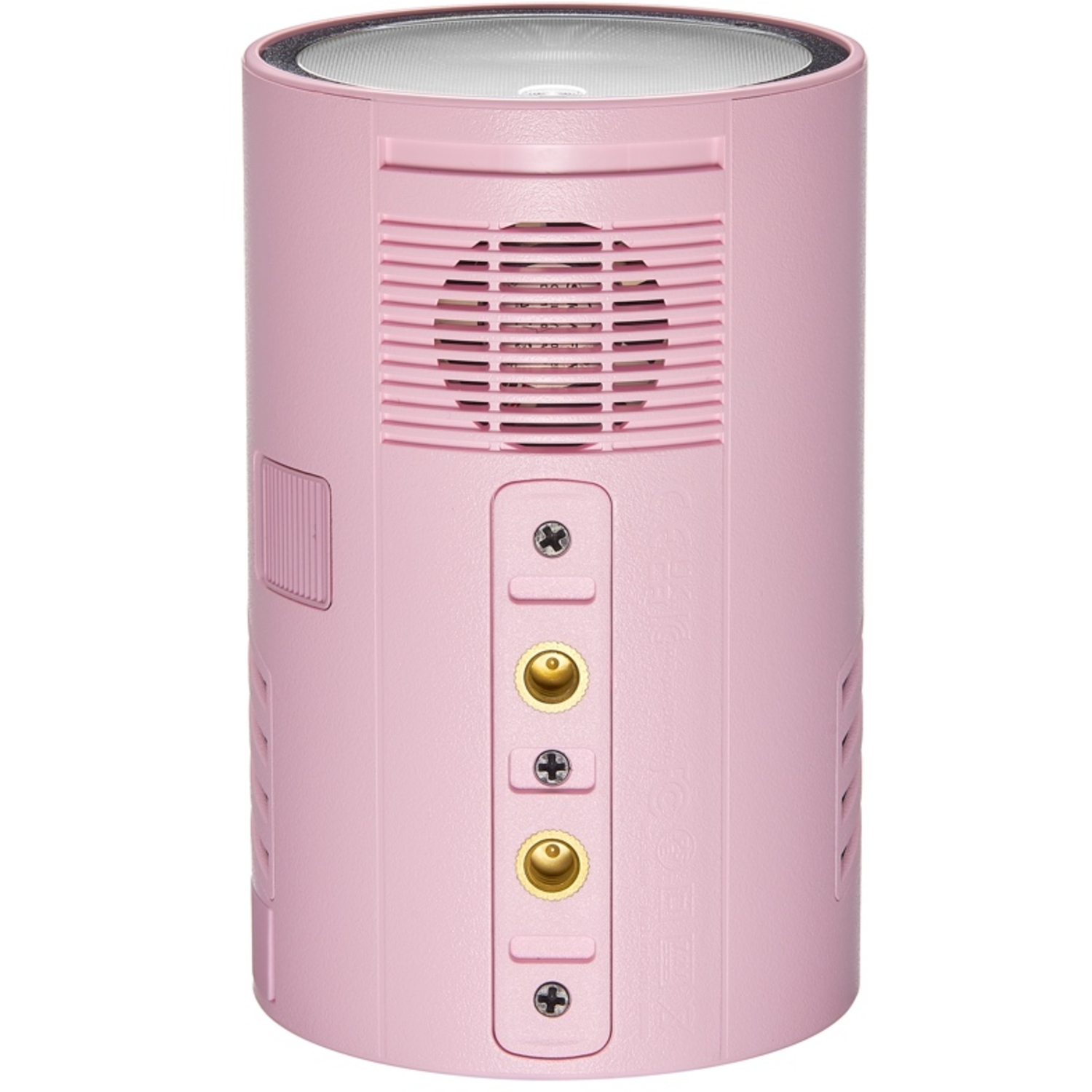 Godox Witstro AD100Pro Pink