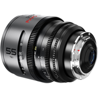 DZOFILM PAVO 2X ANAMORPHIC 55mm T2.1 Gold Neutral Coating Metric für PL/EF-Mount