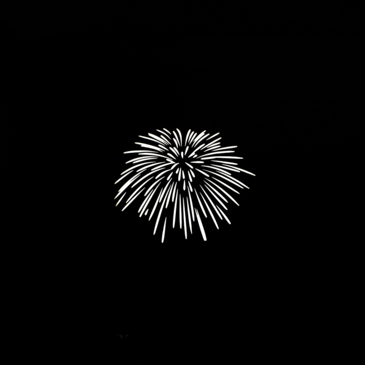 Nanlite Gobo-SET 2 für Projektionsvorsätze Forza 60/60B