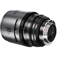 DZOFILM PAVO 2X ANAMORPHIC 75mm T2.1 Blue Coating Metric für PL/EF-Mount