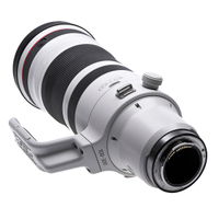 Canon RF 100-300mm F2.8L IS USM neuwertiger Rückläufer gebraucht
