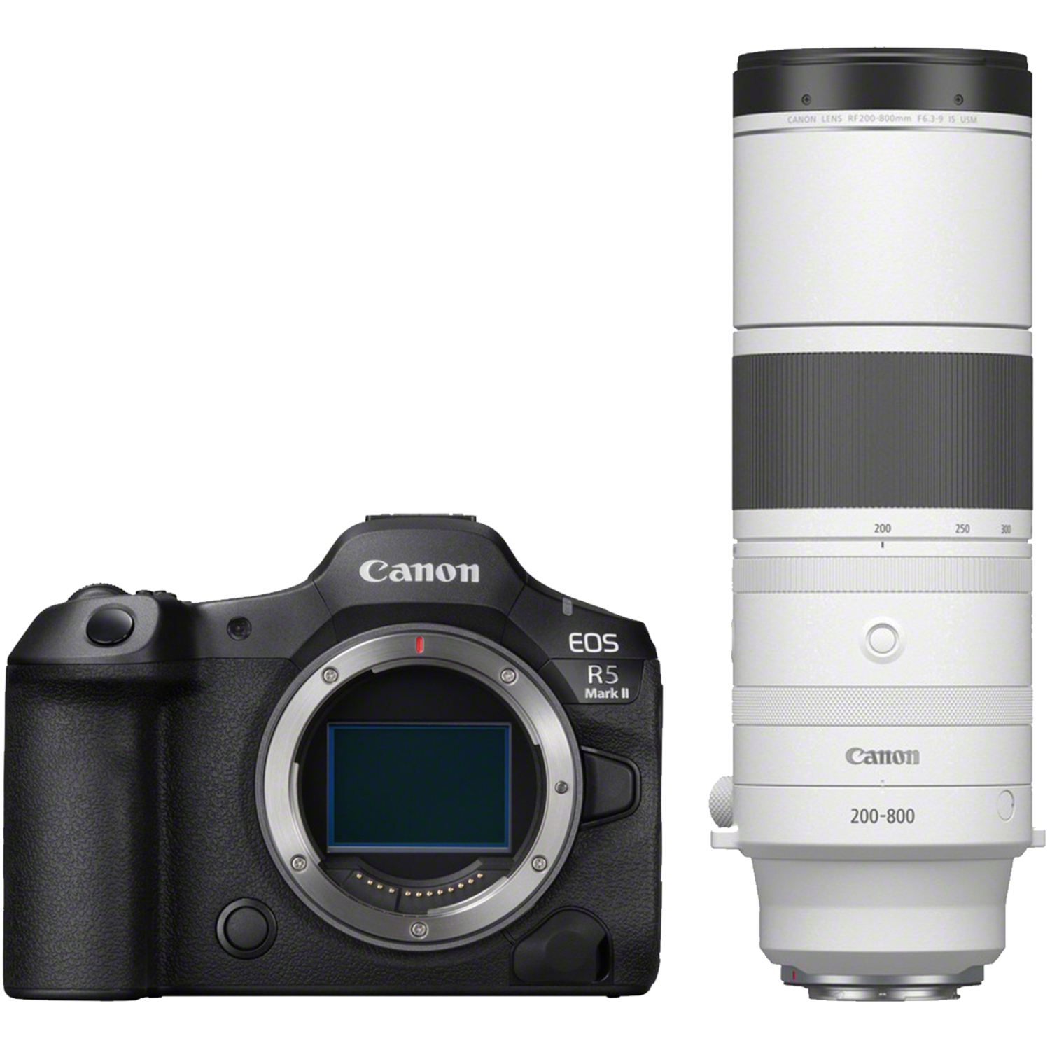 Canon EOS R5 Mark II mit RF 200-800mm F6.3-9 IS USM