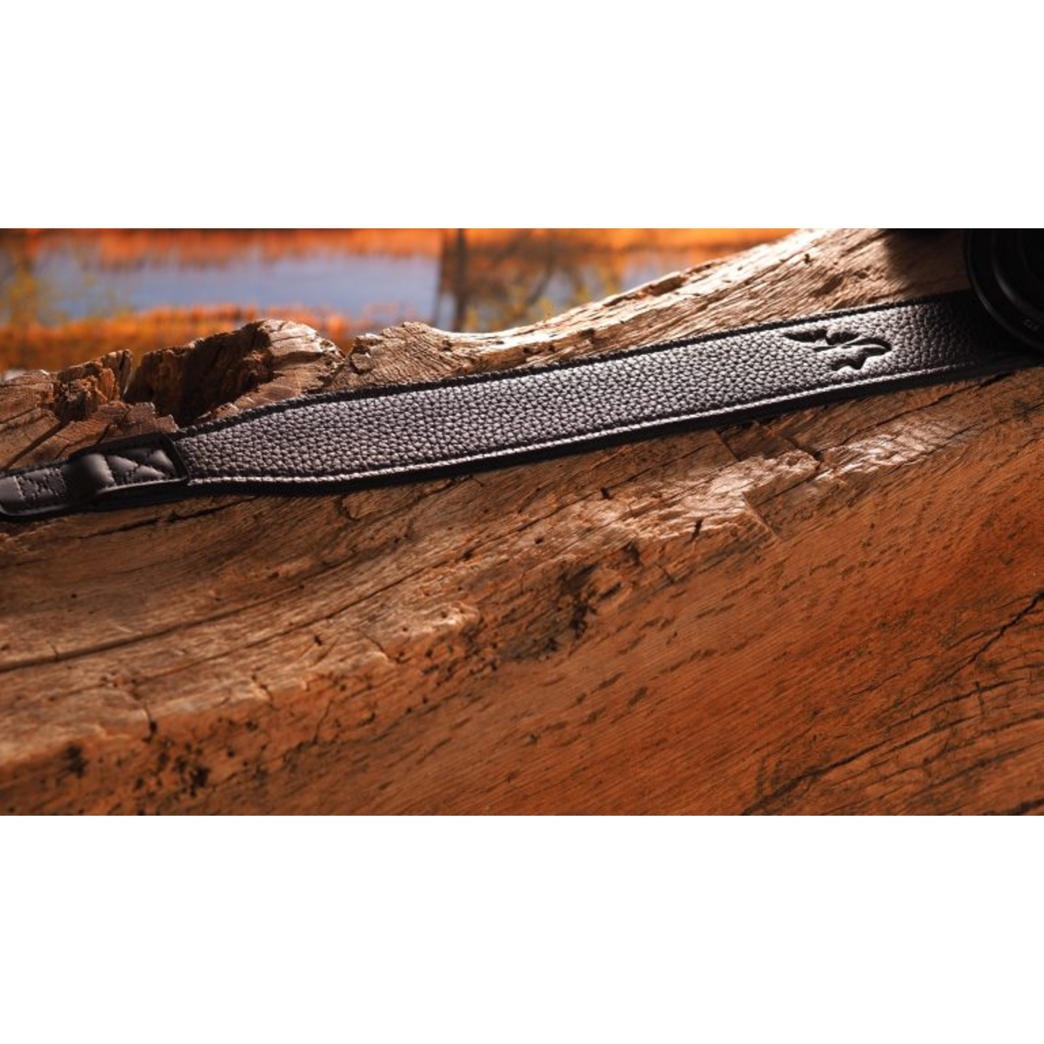 EDDYCAM Kameragurt EASY-II 45mm schwarz