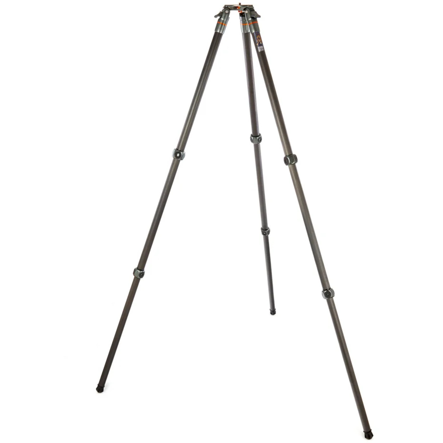 3 Legged Thing Legends Tommy Hybrid