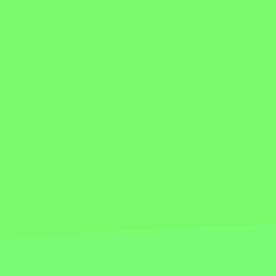 Lee Farbfilterfolie 54 x 61cm Nr. 122 Fern Green