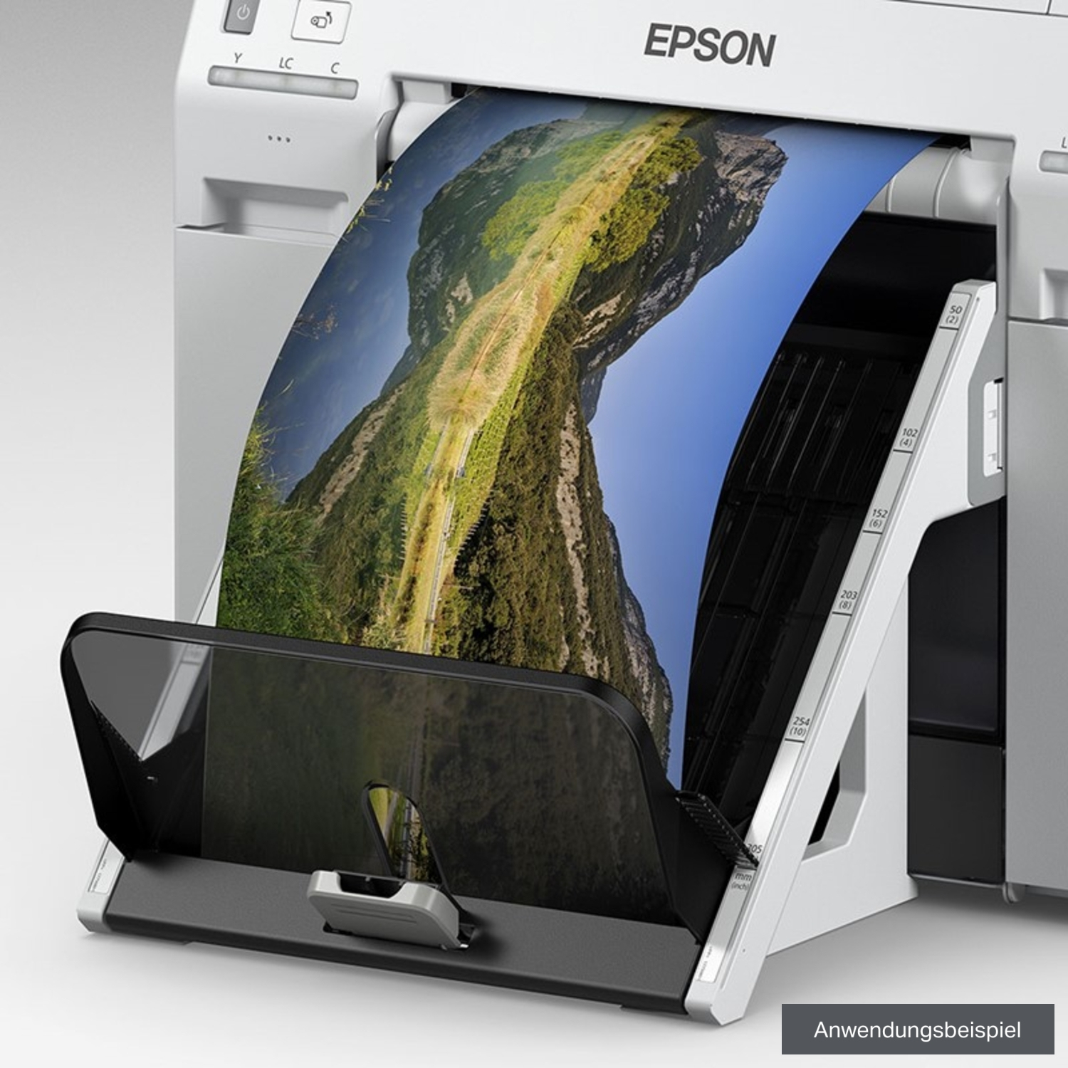 Epson Rigid Print Tray C12C934781 für SL-D700 und SL-D800