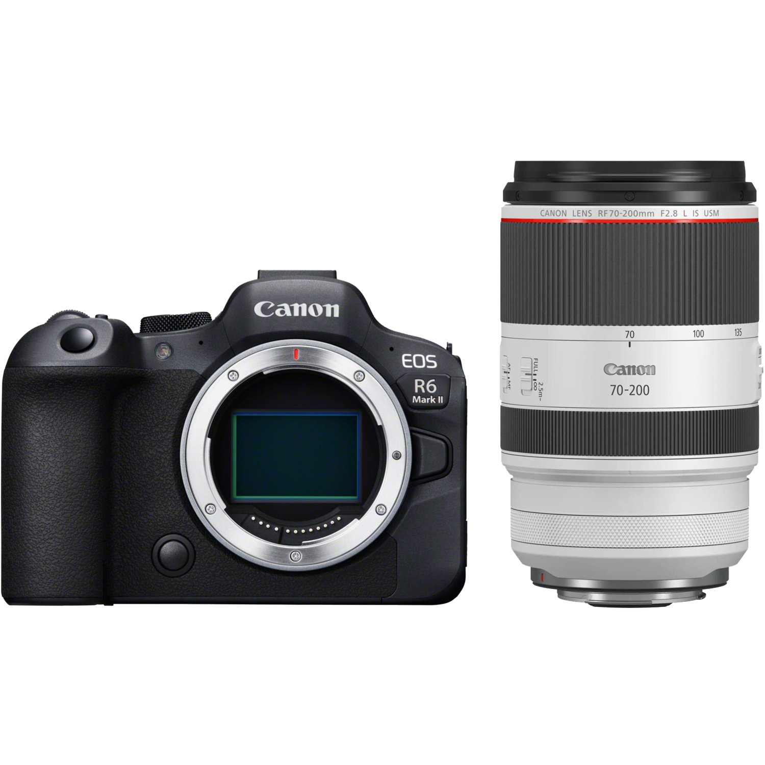 Canon EOS R6 Mark II mit RF 70-200mm F2.8L IS USM