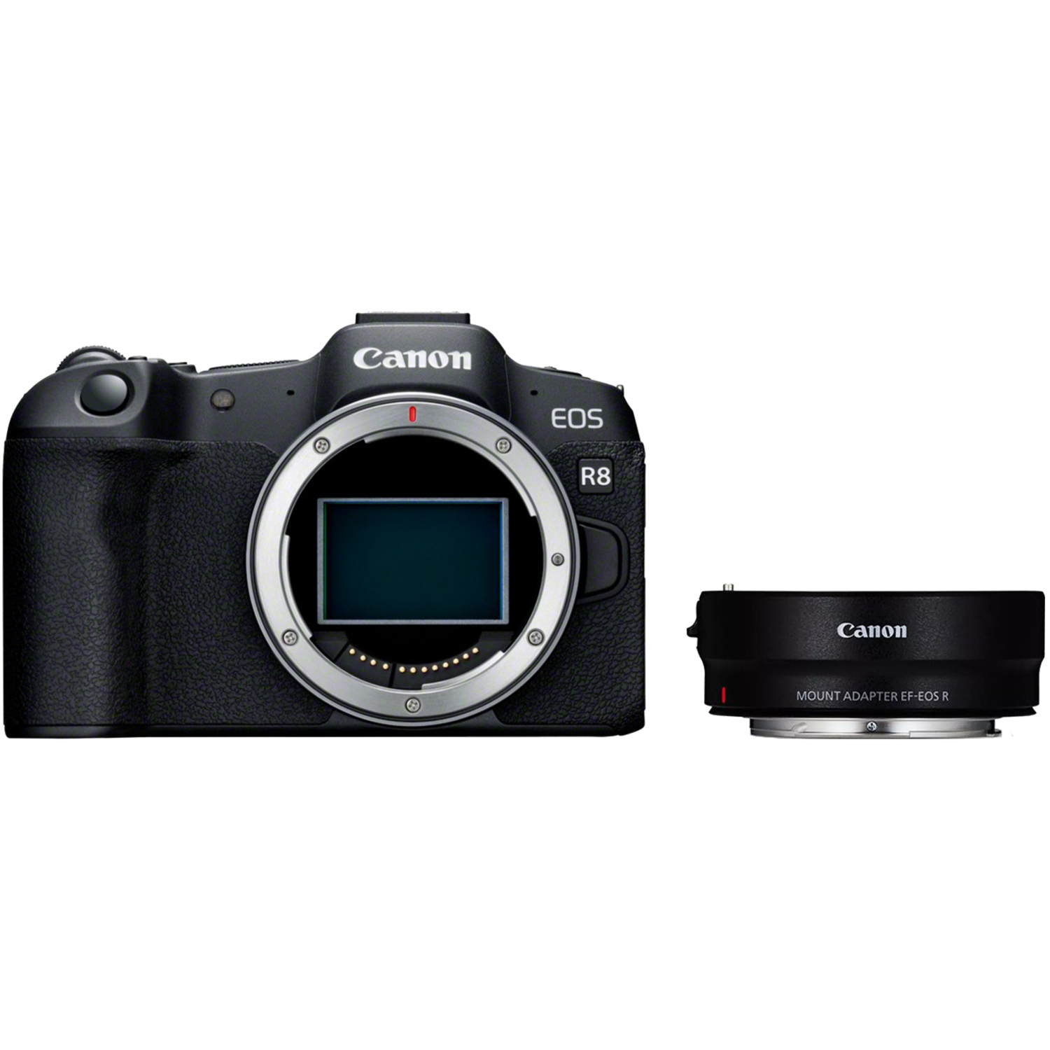 Canon EOS R8 mit EF-EOS R Bajonettadapter